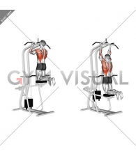 Lever Assisted Chin-Up