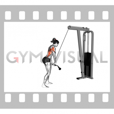 Cable straight arm pulldown (VERSION 2) (female)