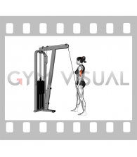 Cable Standing One Arm Triceps Extension (female)