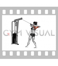 Cable Standing Rear Delt Row (with rope) (female)