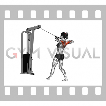 Cable Standing Rear Delt Row (with rope) (female)