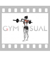 Barbell Wide Grip Upright Row (female)