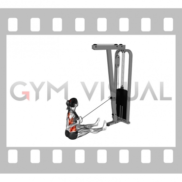 Cable One Arm Twisting Seated Row (female)