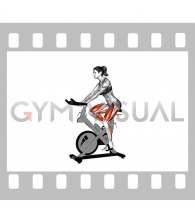 Stationary Bike Run (version 3) (female)