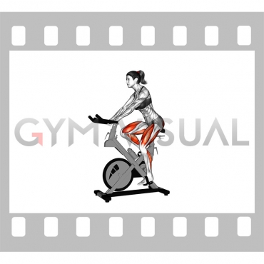 Stationary Bike Run (version 3) (female)