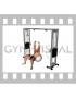 Cable Incline Fly (on stability ball)