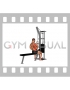 Cable one arm lat pulldown