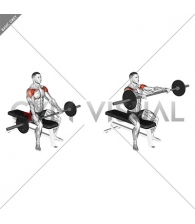 Barbell Seated Front Raise