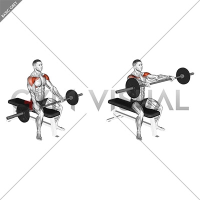 Barbell Seated Front Raise