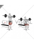 Barbell Front Bench Squat