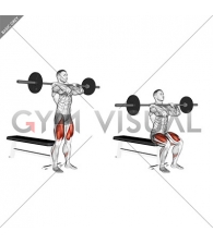 Barbell Front Bench Squat