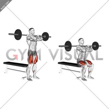 Barbell Front Bench Squat