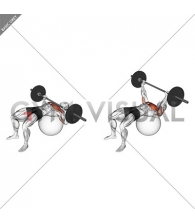 Barbell Chest Press on Stability Ball