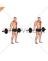 Barbell Behind The Back Shrug