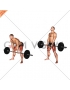 Barbell Sumo Romanian Deadlift