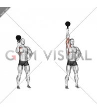 Kettlebell Standing Bottoms Up One Arm Shoulder Press
