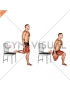 Bulgarian Split Squat with Chair