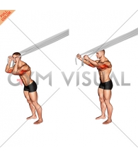 Overhead Triceps Extension with Bed Sheet