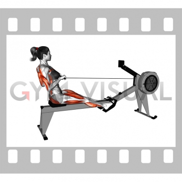 Rowing (with rowing machine) (female)