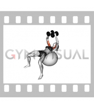 Dumbbell Fly on Exercise Ball (female)