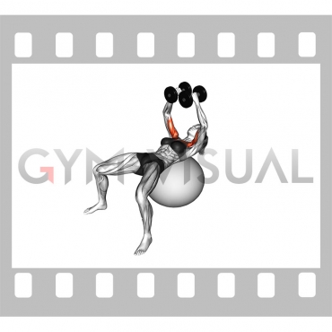 Dumbbell Fly on Exercise Ball (female)