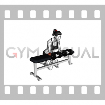 Dumbbell Over Bench Wrist Curl (female)