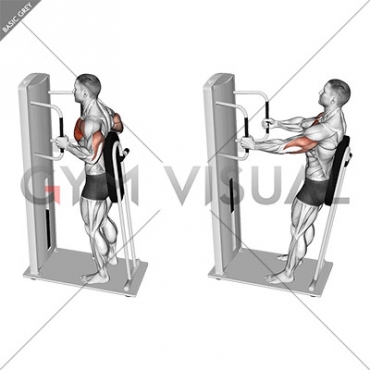 Lever Standing Chest Press