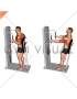 Lever Standing Chest Press