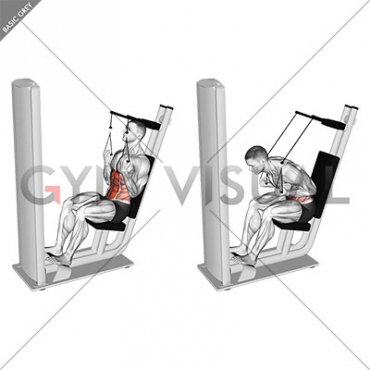Lever Seated Crunch (VERSION 2)