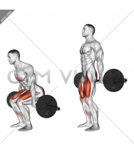 Barbell Hack Squat