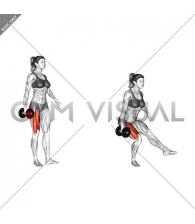 Dumbbell Single Leg Squat (VERSION 2) (female)