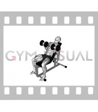 Dumbbell Incline Curl