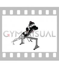 Dumbbell Prone Incline Curl (female)