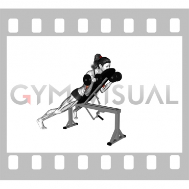 Dumbbell Prone Incline Curl (female)