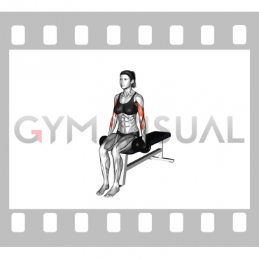 Dumbbell Seated Alternate Biceps Curl (female)