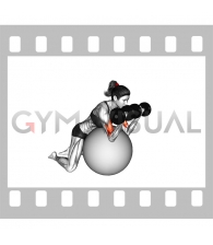 Dumbbell Preacher Curl over Exercise Ball (female)