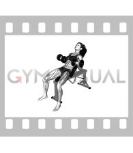 Dumbbell Incline Biceps Curl (female)