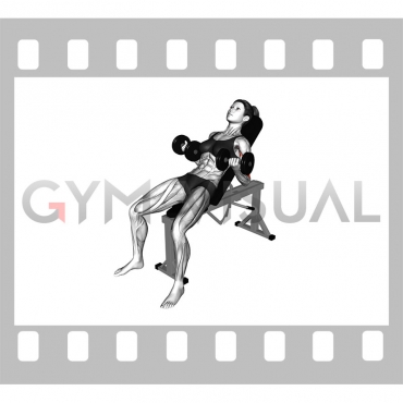 Dumbbell Incline Biceps Curl (female)