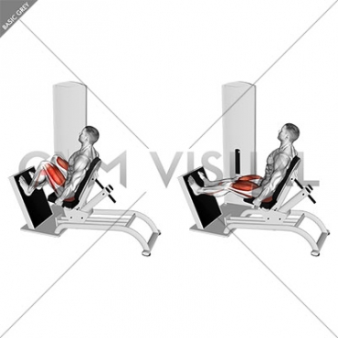 https://gymvisual.com/16735-large_default/lever-seated-horizontal-leg-press.jpg