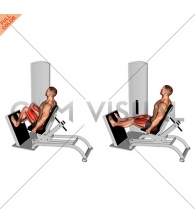 Lever Seated Horizontal Leg Press