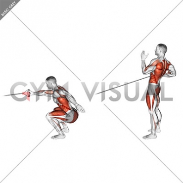 Band Squat with Single Arm Row