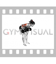 Dumbbell Palm Rotational Bent-Over Row (female)