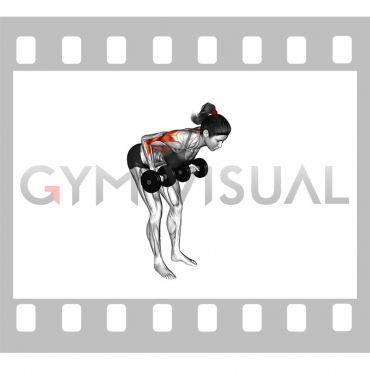 Dumbbell Palm Rotational Bent-Over Row (female)