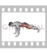 Front Plank Toe Tap (male)