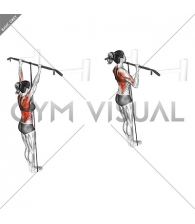 Band Assisted Pull Up (VERSION 3) (female)
