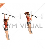 Band Assisted Pull Up (VERSION 3) (female)