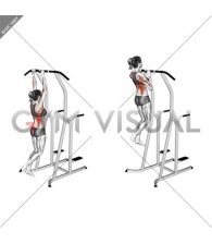 Hammer Grip Pull-up on Dip Cage (female)