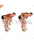 Band Bent Over row (male)