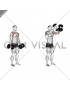 Dumbbell Low Fly