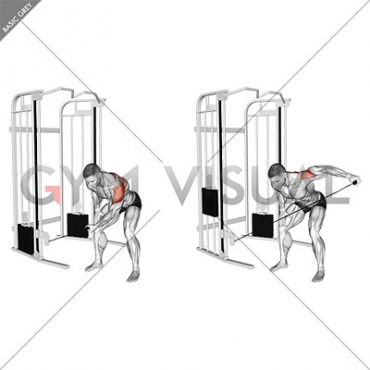 Cable Bent-Over One Arm Lateral Raise